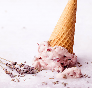 Treats to go - Vulputate odio ut enim blandit volutpat maecenas volutpat. Convallis tellus id interdum velit.